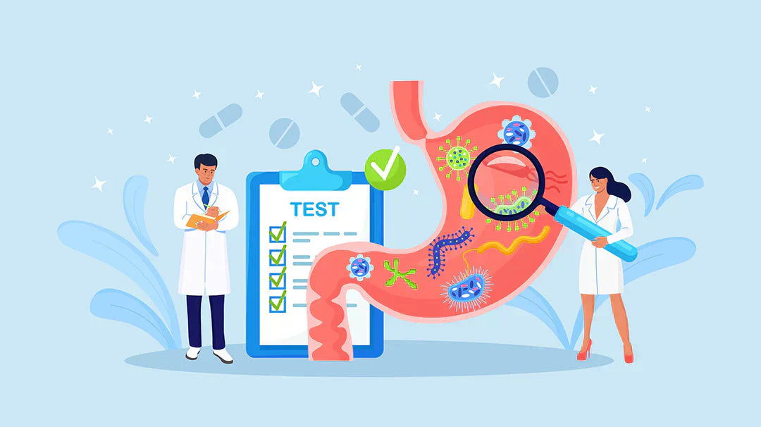 Prebiotici e probiotici: differenza, benefici e ruolo nell’alimentazione low carb