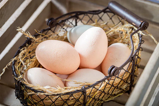 Uova di gallina: tra verità nutrizionali, falsi miti e ruolo nella dieta chetogenica